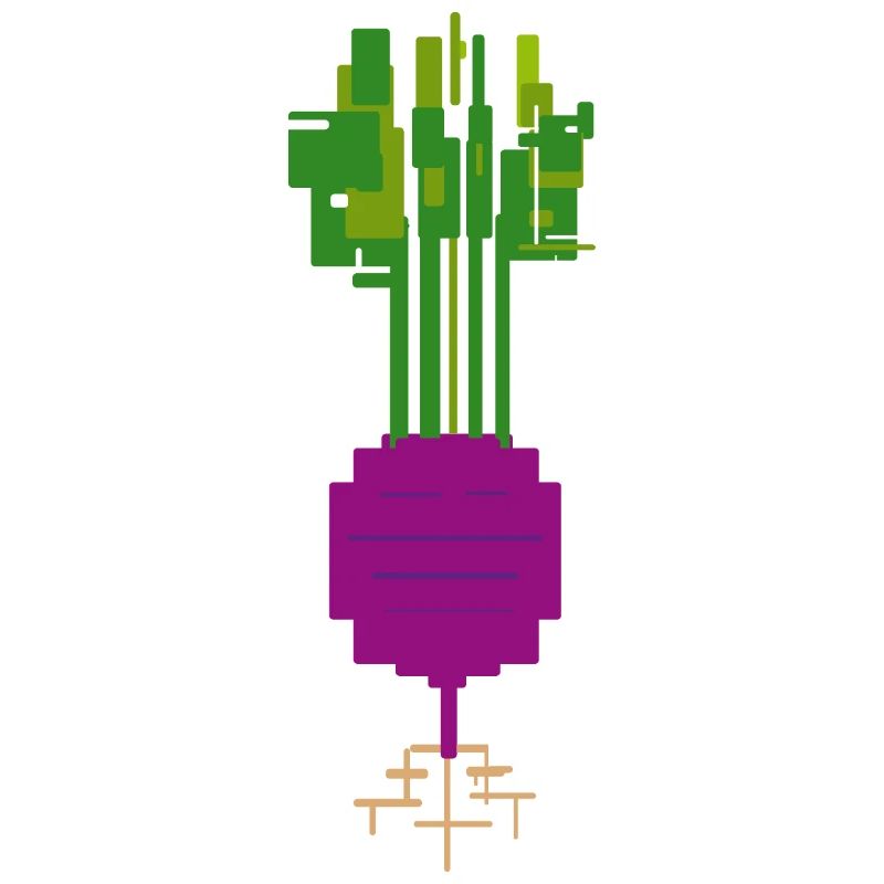 Kohlrabi Rot