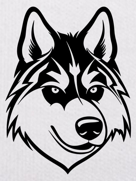 Husky Dog Wolf