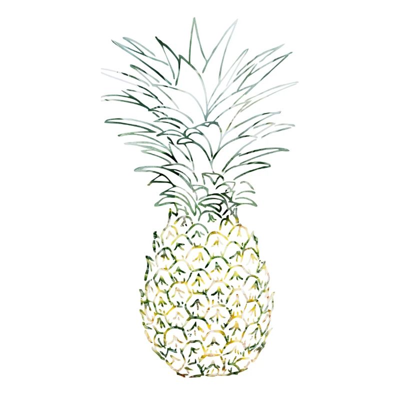 Ananas