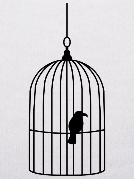 vogelkaefig2
