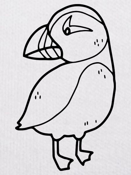 Papageitaucher Puffin