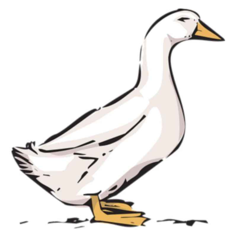 Gans