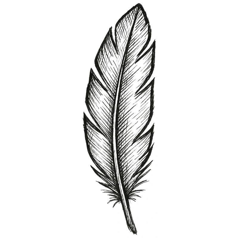 Plume noire pailletée avec texture