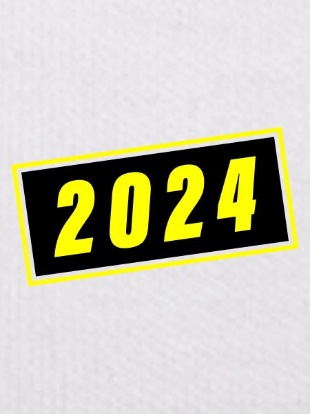 2024 year