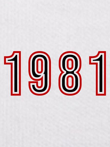 1981 Year Number