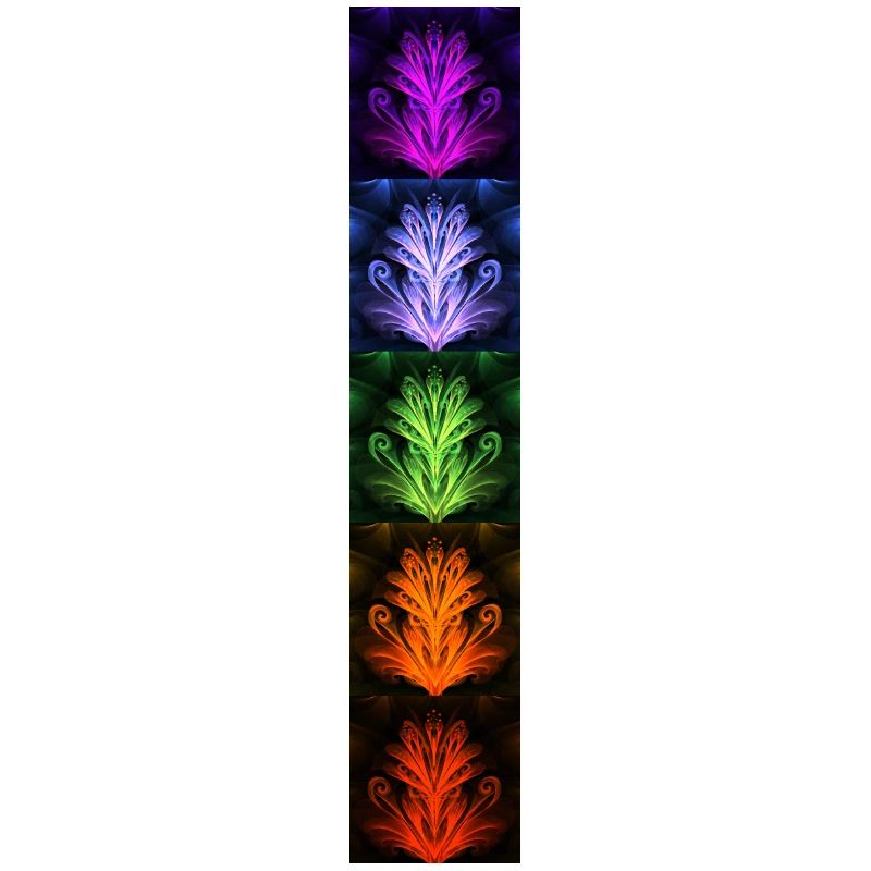 Nightflower Monkeyface