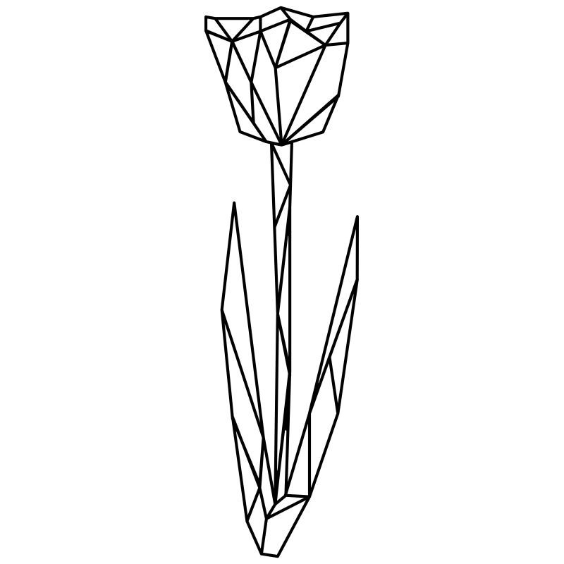 Tulip Polygon