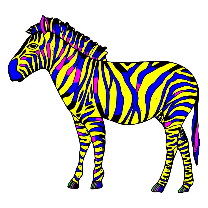 zebra