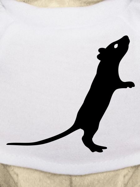 Rat