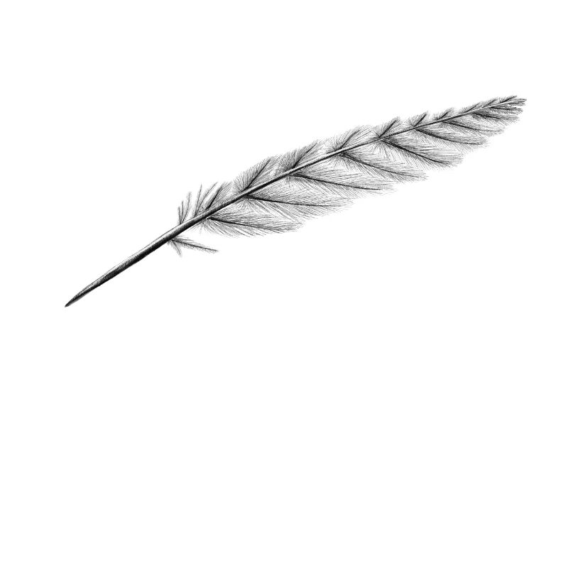 Feather of course