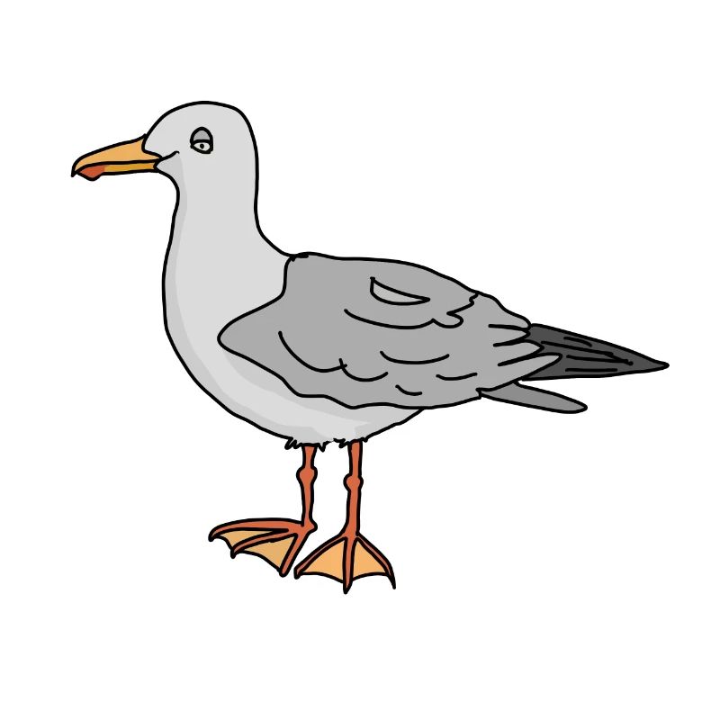 Möwe