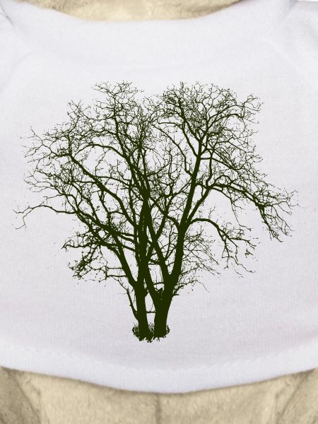 Baum