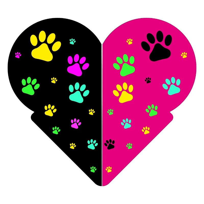 cat paws
