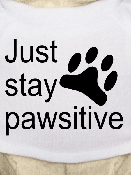 Just stay pawsitive