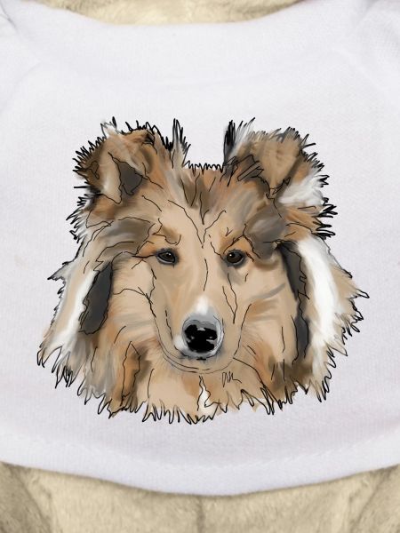 Collie