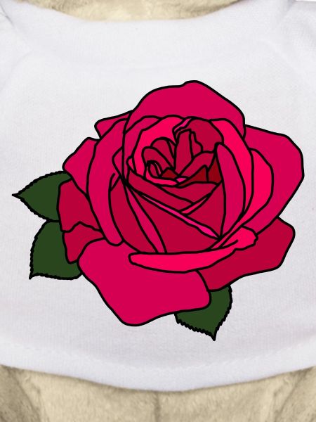 Pink Rose