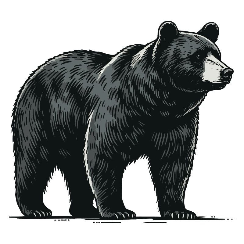 Baribal