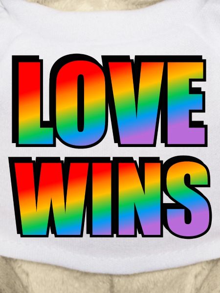 LOVE WINS rainbow pride