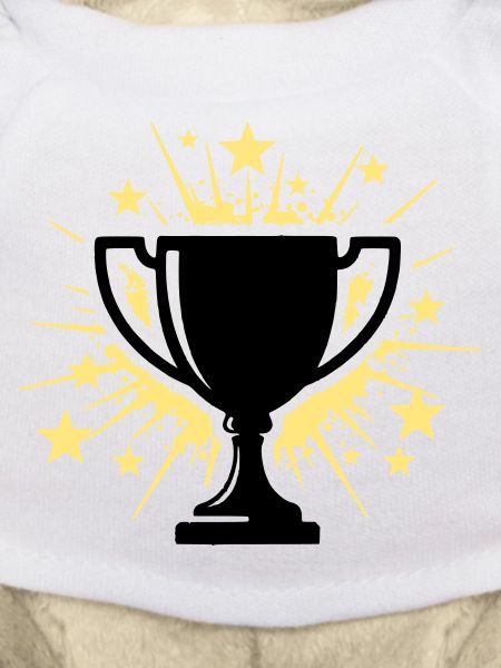 Cup Winner Trophy Stars