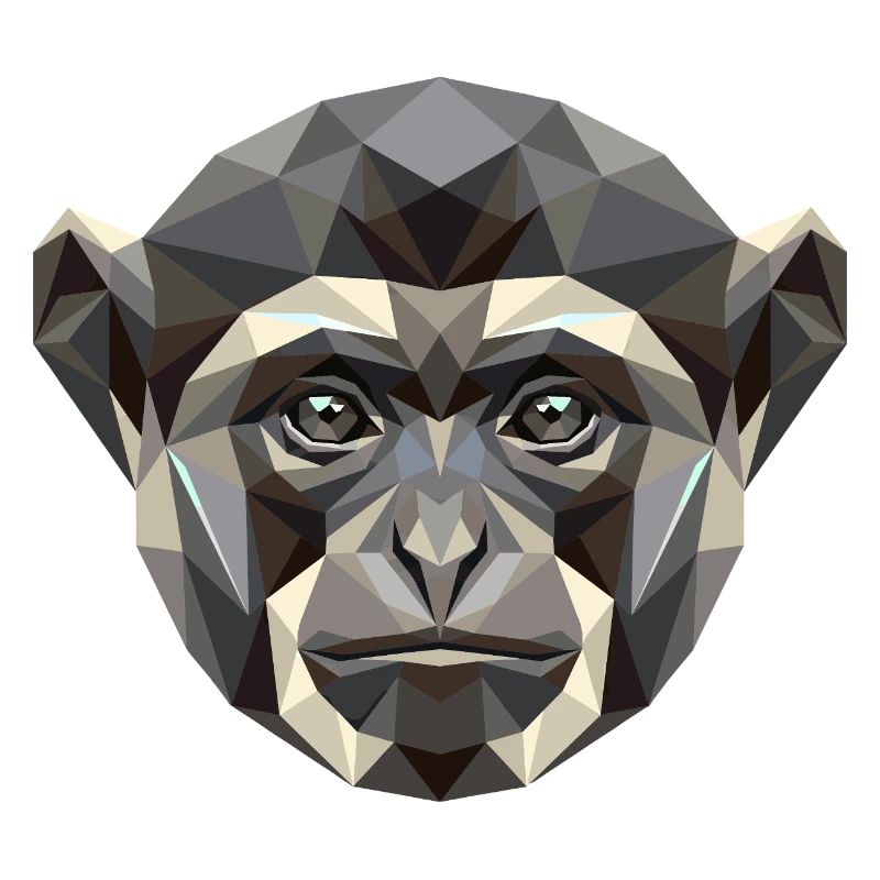 Gibbon Singe Mainblanche Gibbon Singe Lar mignon