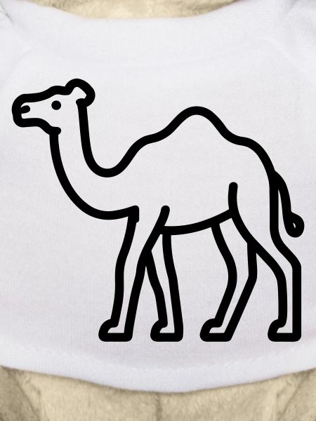 camel