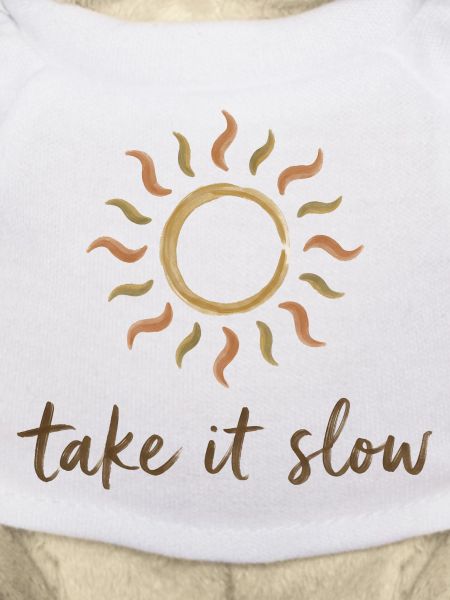 Take It Slow Sonnenlogo