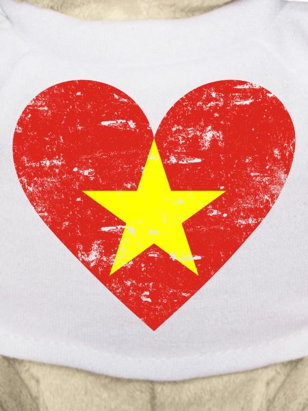 Vietnam Heart Used