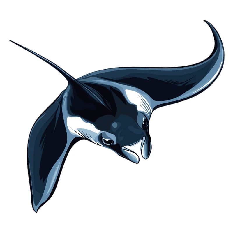Rochen Mantarochen