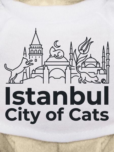 Istanbul City of Cats