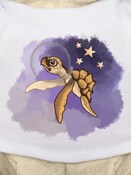 Cosmic Sea Turtle Explorer