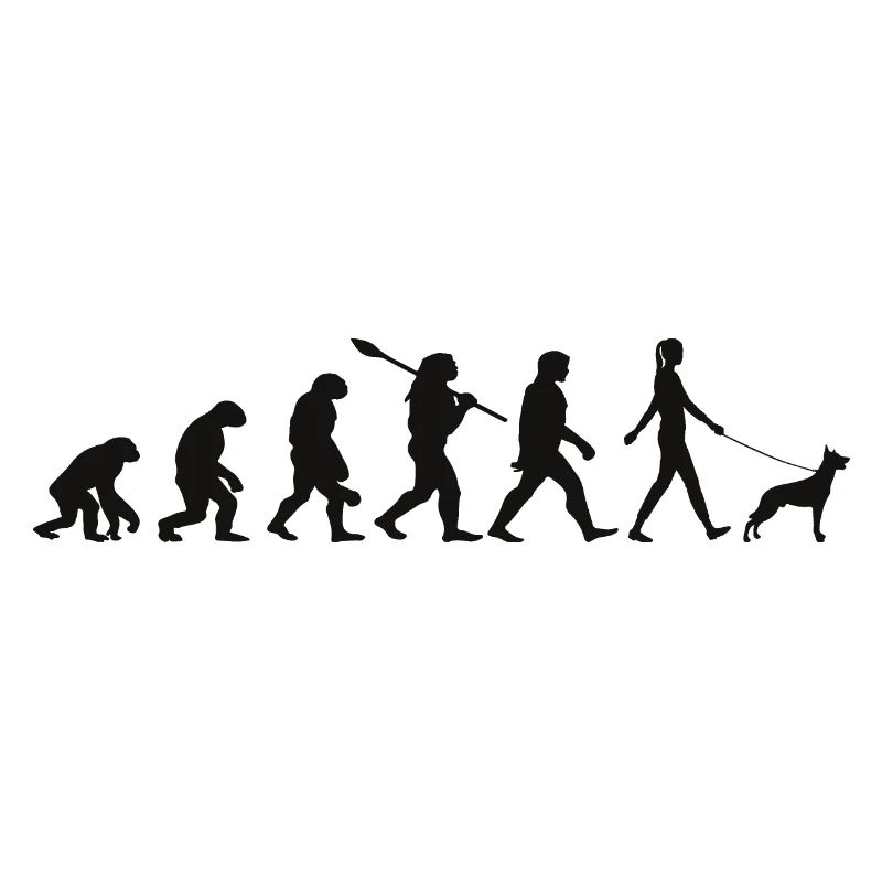 Evolution Lustiger Belgischer Schäferhund Malinois