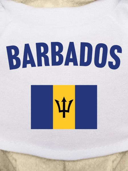 Barbados Flag