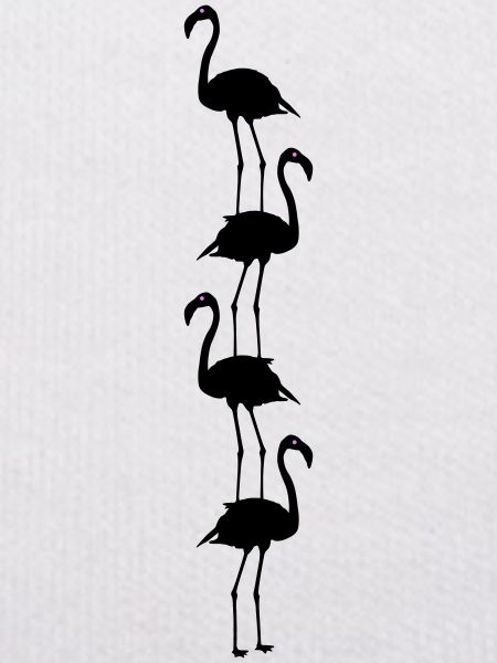 Flamingos Animals