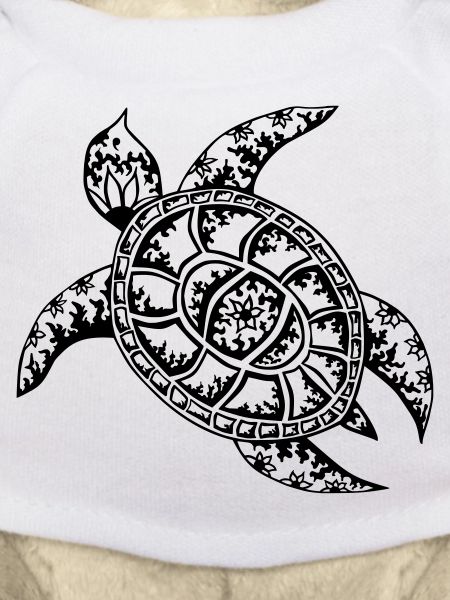 Tortue