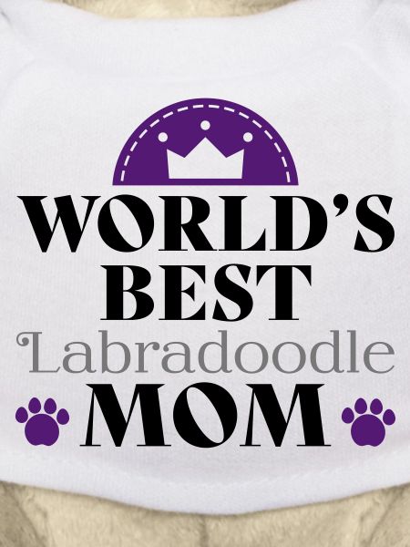 Labradoodle