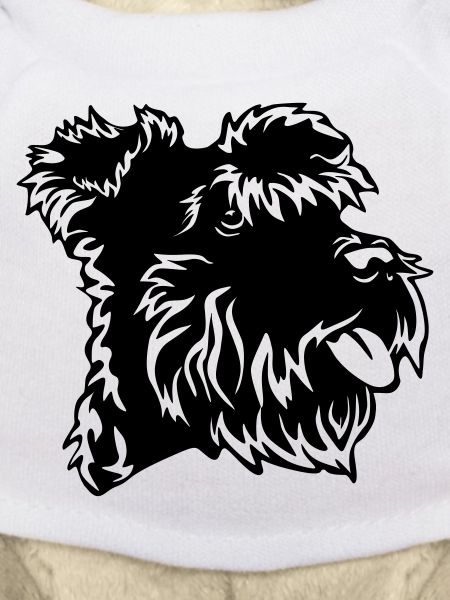 Tête de Schnauzer miniature