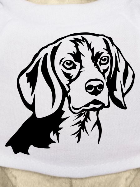Beagle Head