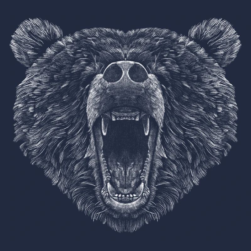 Braunbär Kopf Bär Motiv für Braunbären Team oder