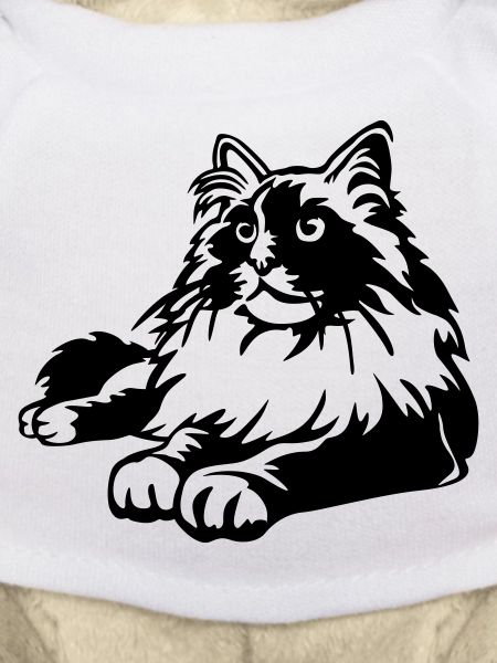Chat Ragdoll