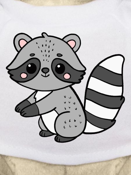 Raccoon