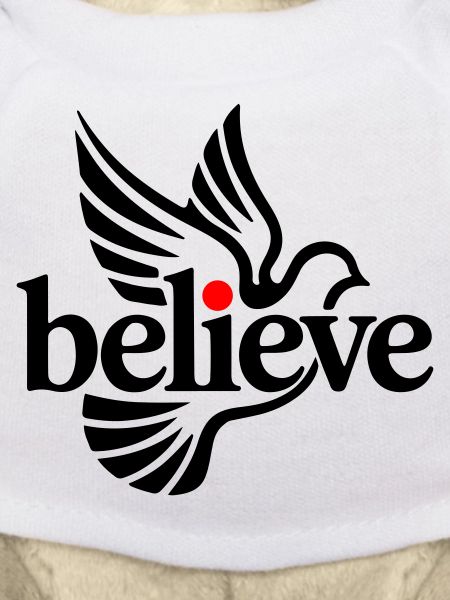 believe pigeon
