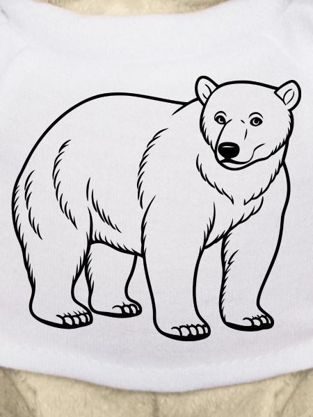 Ours polaire