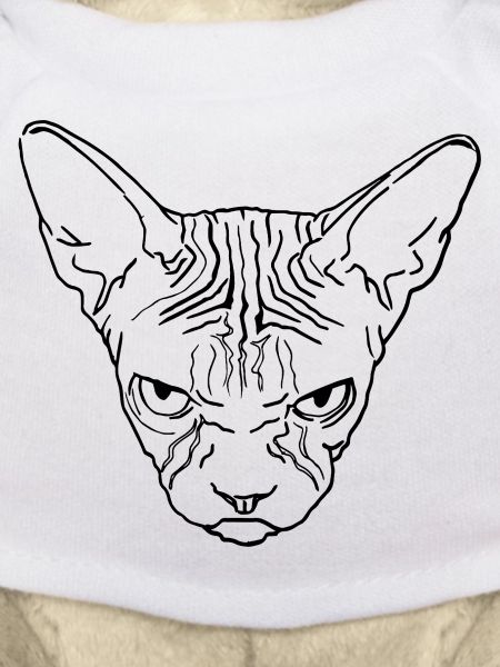 Tête de sphinx