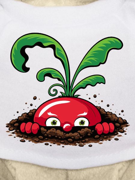 Curious radish from the earth