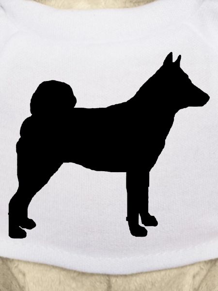 Norwegian Elkhound