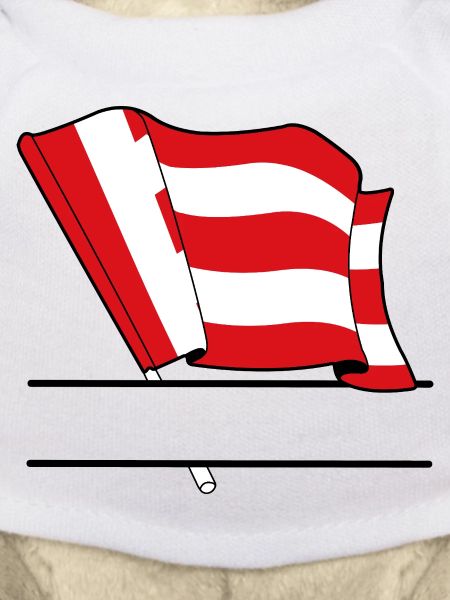 Eindhoven Custom Flag