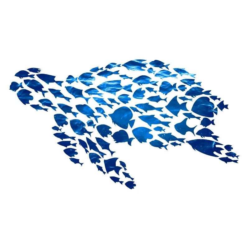 Turtle Fish Sea creatures