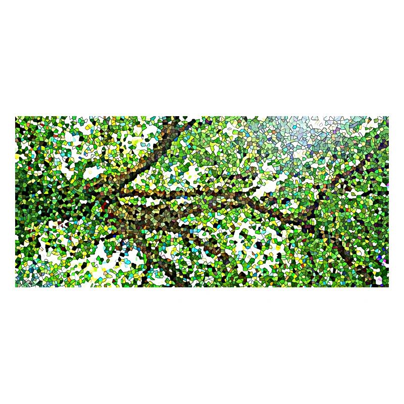 Die anmutigen Äste eines Baumes