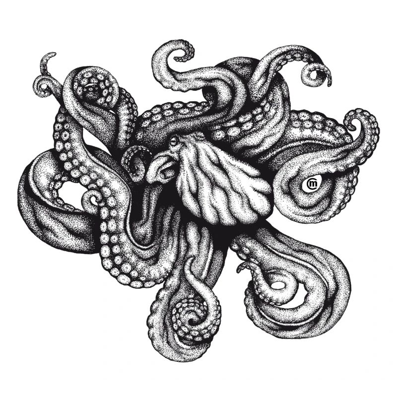 Octopus