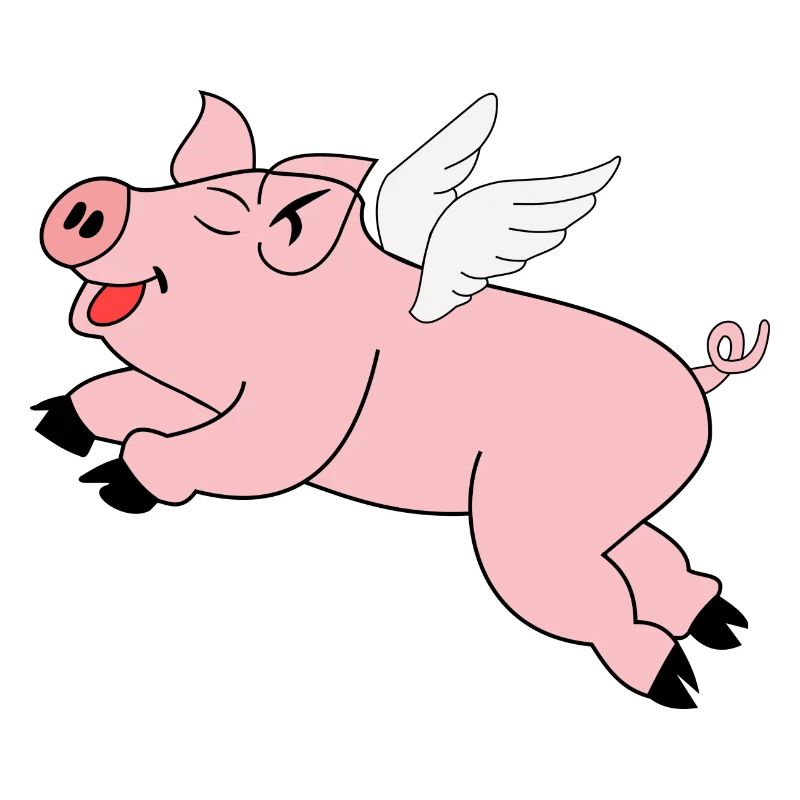 Pig Flying Gift